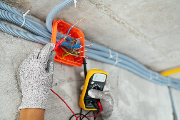 Best Electric Panel Repair  in Manasota Key, FL